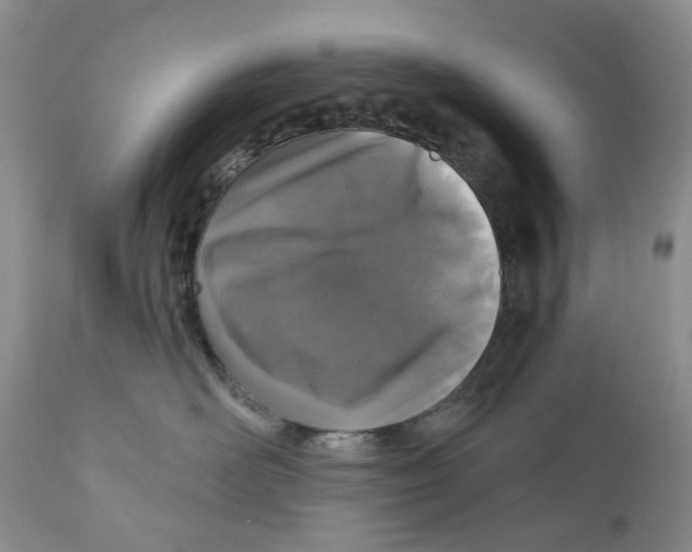 X0000110880526200907161505