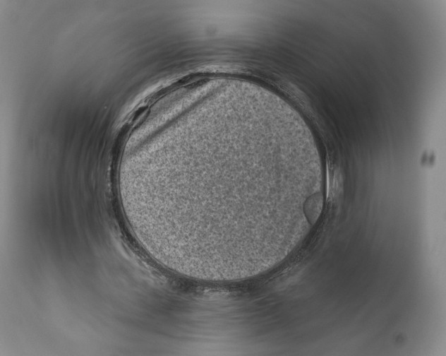 X0000110880531200907161504