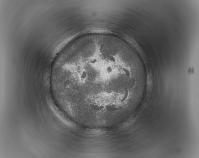 X0000110880533200907161504