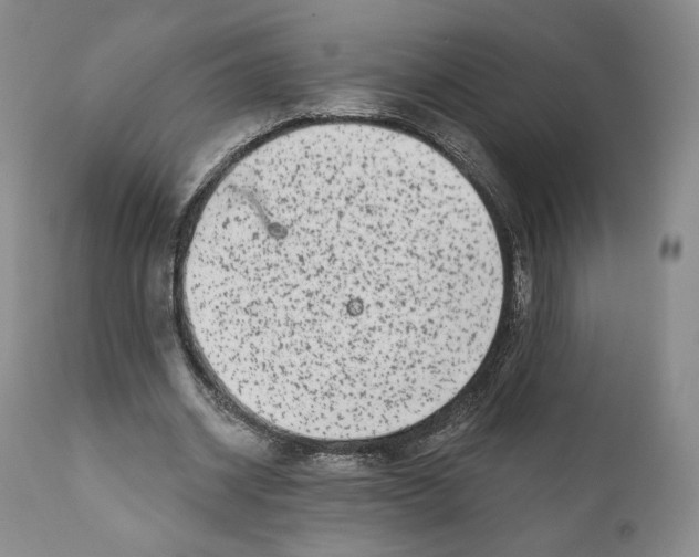 X0000110880534200907161504