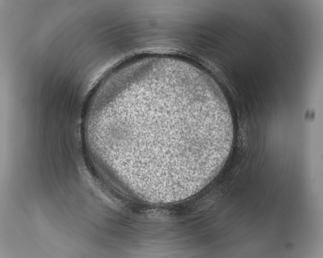 X0000110880535200907161504