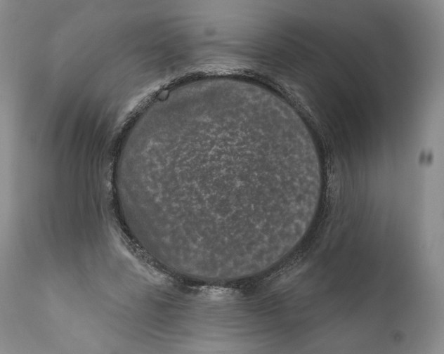 X0000110880539200907161504