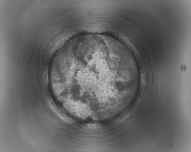 X0000110880541200907161504