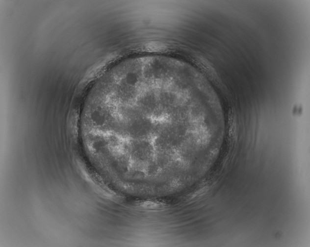 X0000110880542200907161504