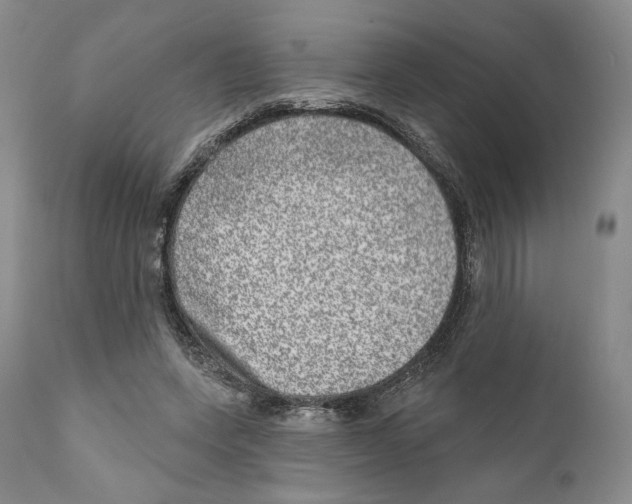 X0000110880543200907161504