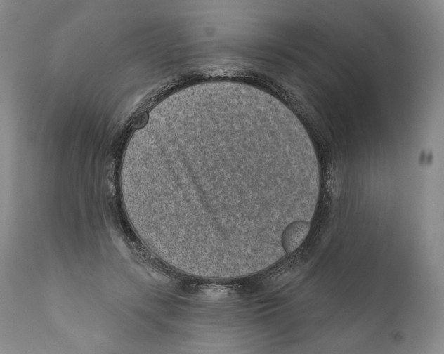 X0000110880547200907161504