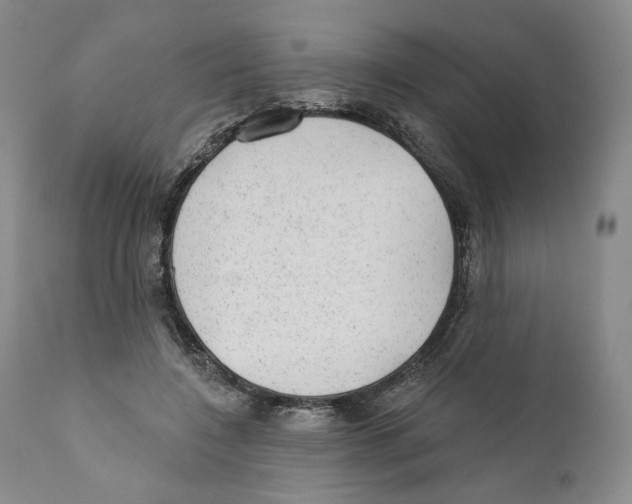 X0000110880548200907161504