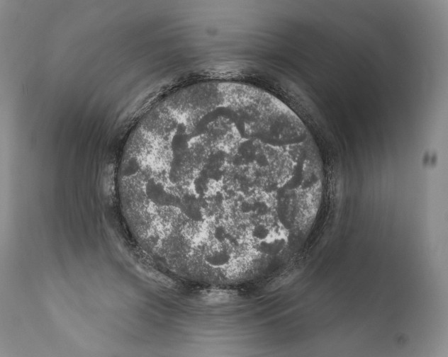 X0000110880549200907161504