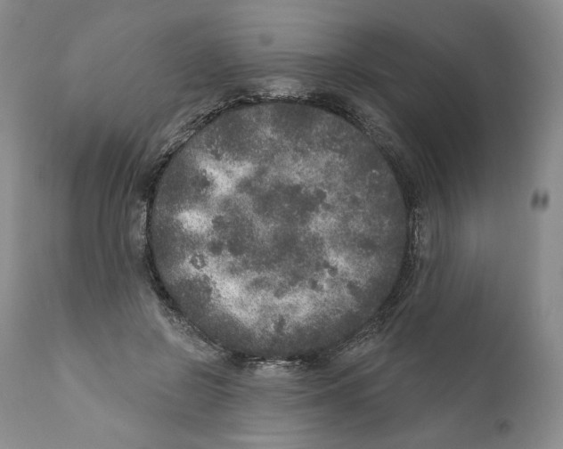 X0000110880550200907161504