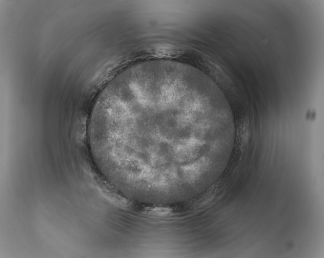 X0000110880554200907161504