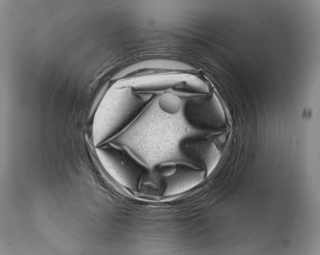 X0000110880556200907161504