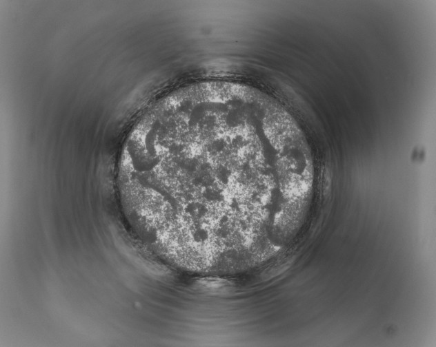 X0000110880557200907161504