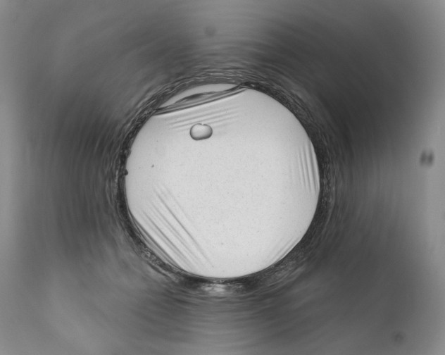 X0000110880558200907161504