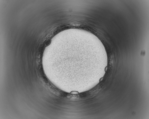 X0000110880559200907161504