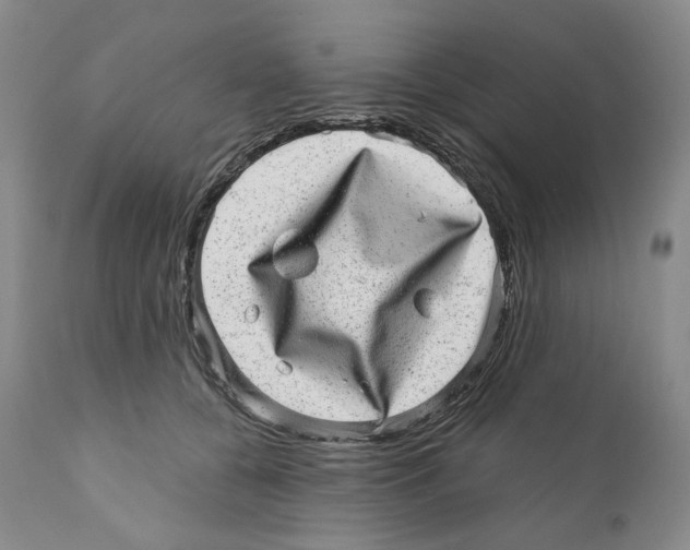 X0000110880560200907161504