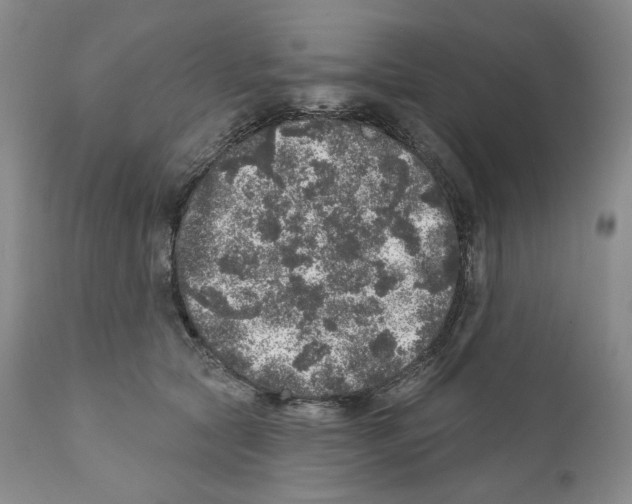 X0000110880561200907161504