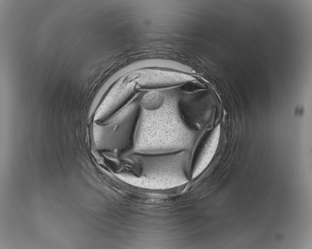 X0000110880562200907161504