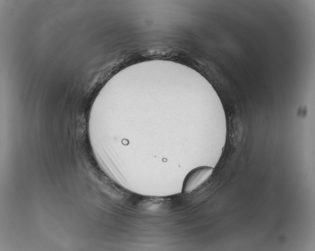 X0000110880563200907161504