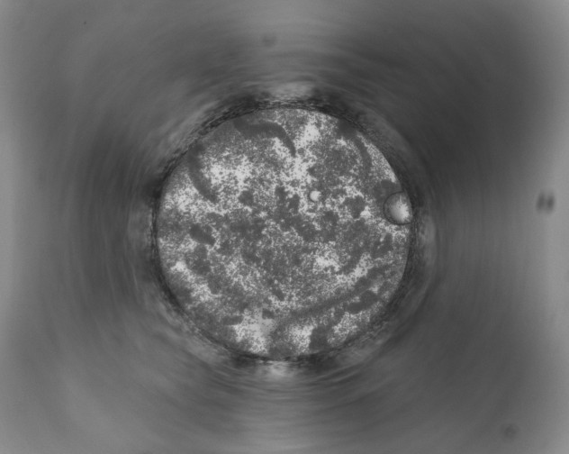 X0000110880565200907161504