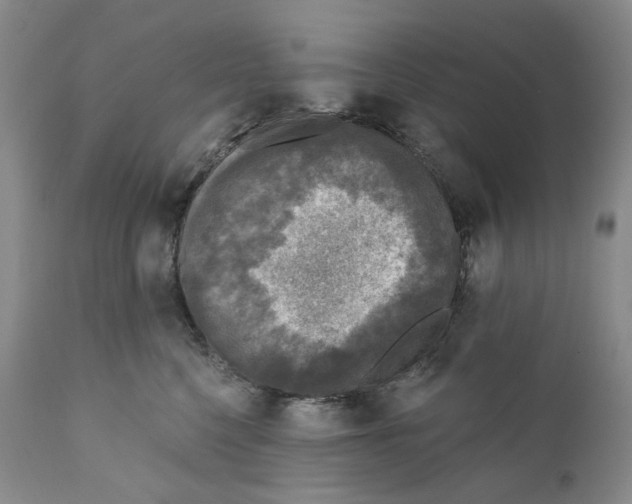 X0000110880568200907161504