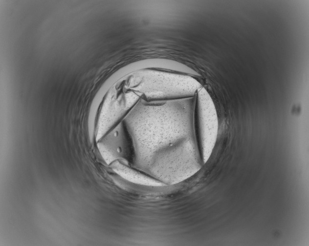 X0000110880570200907161504