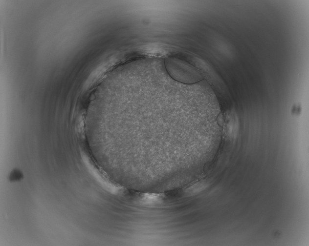 X0000110880573200907161504