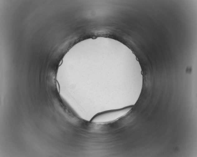 X0000110880575200907161504