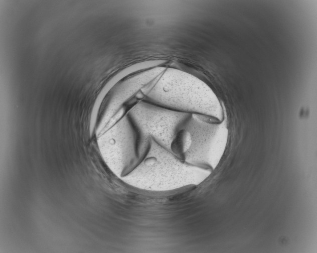 X0000110880576200907161505