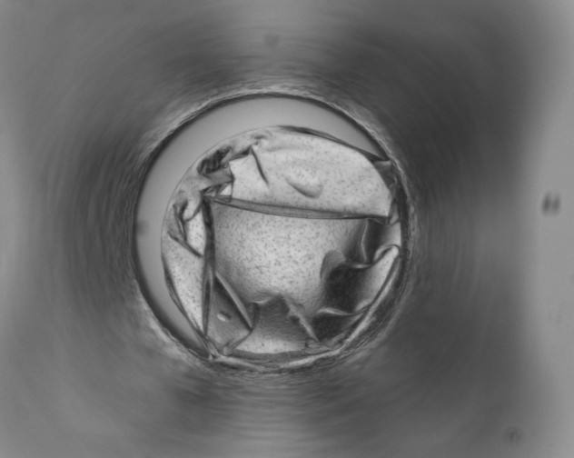 X0000110880577200907161504