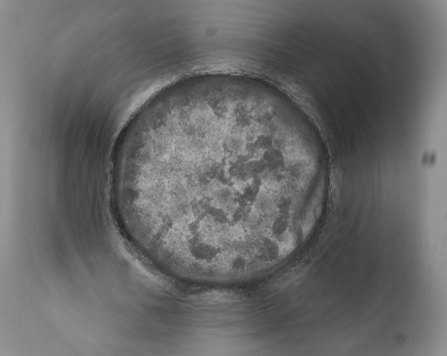 X0000110880578200907161504