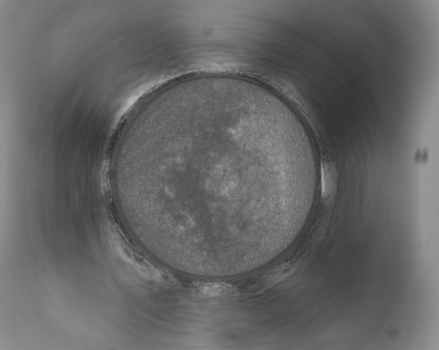 X0000110880579200907161504