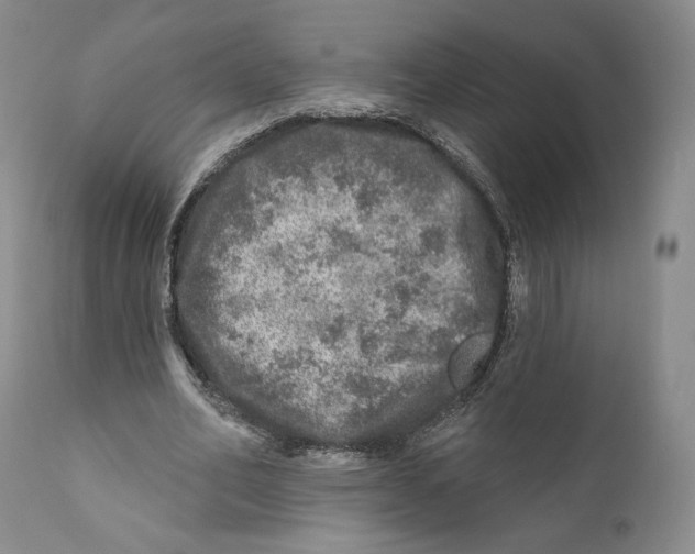 X0000110880582200907161504