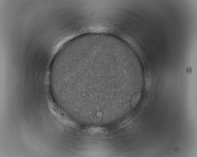 X0000110880583200907161503