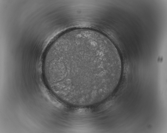 X0000110880584200907161503