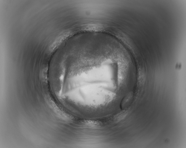 X0000110880585200907161503