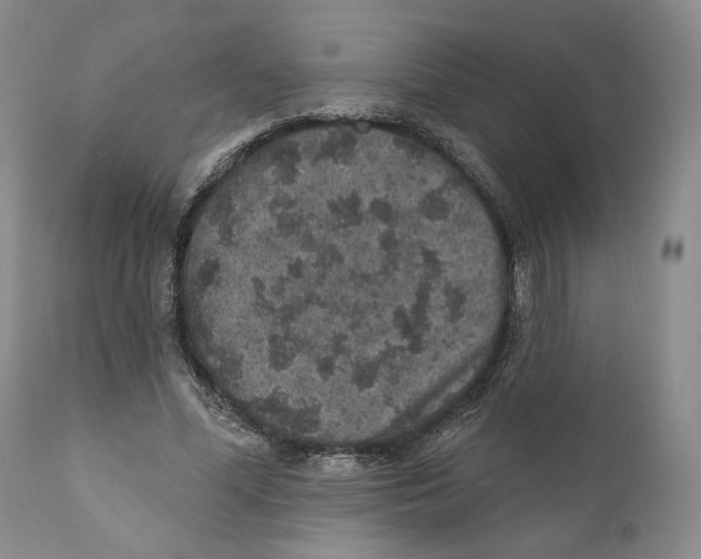 X0000110880588200907161503