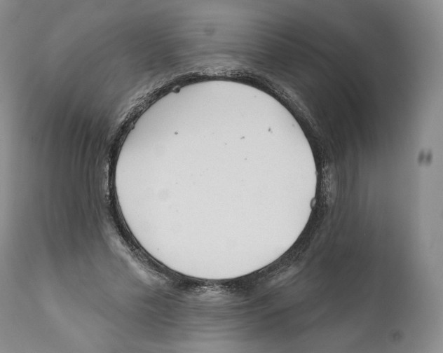 X0000110880589200907161503