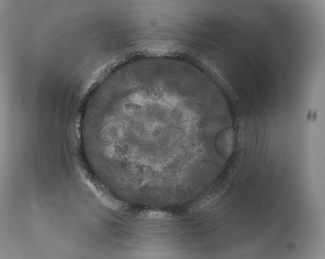 X0000110880590200907161503