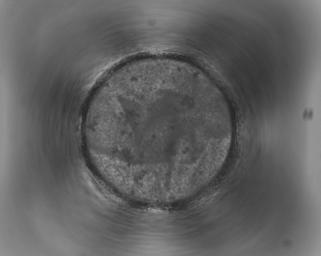 X0000110880592200907161503