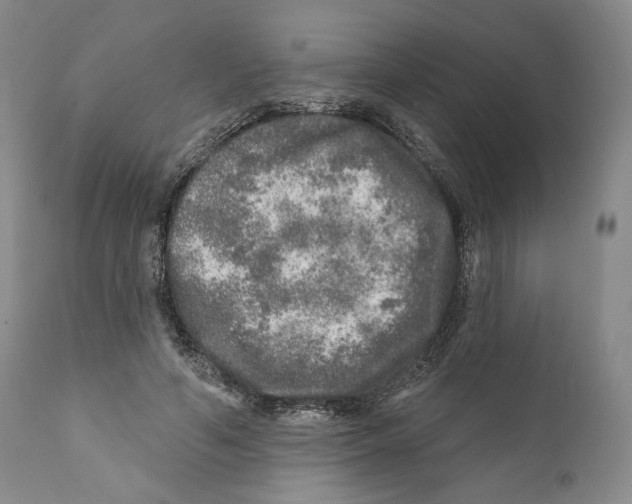 X0000110880594200907161503