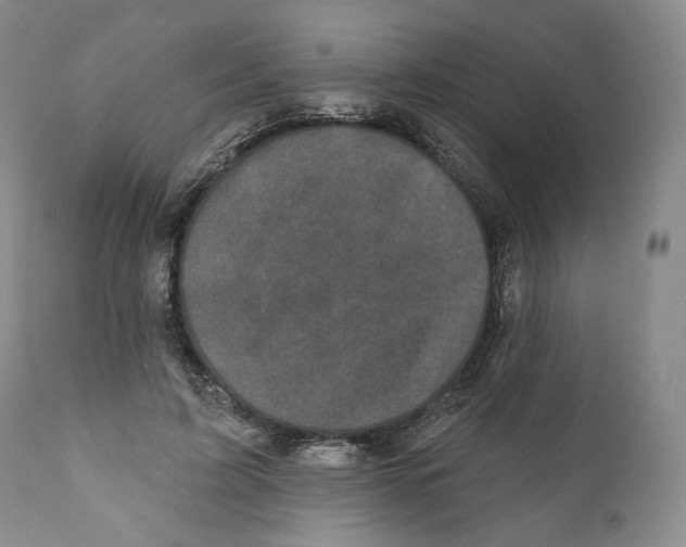 X0000110880595200907161503