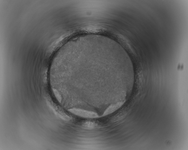 X0000110880596200907161503