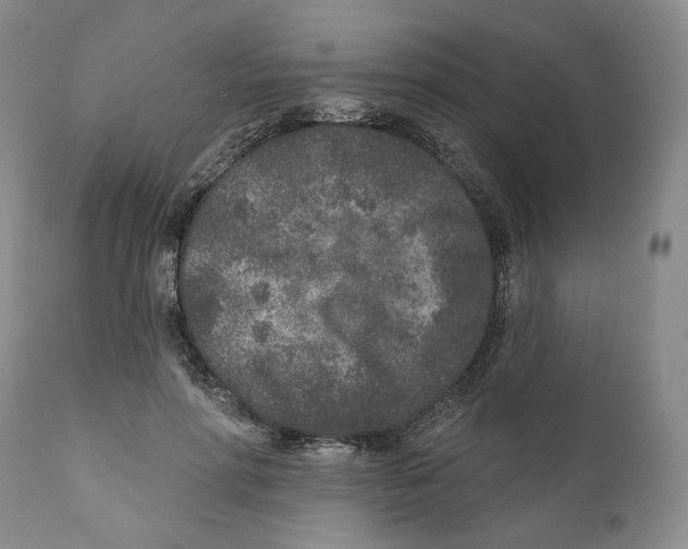 X0000110880598200907161503