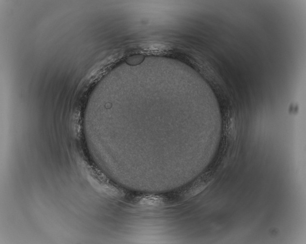 X0000110880599200907161503