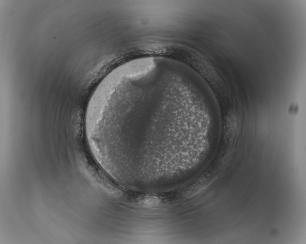 X0000110880600200907161503