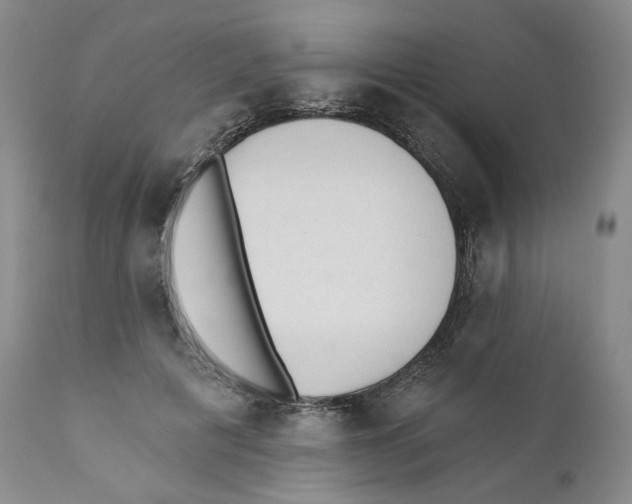 X0000110880601200907161503