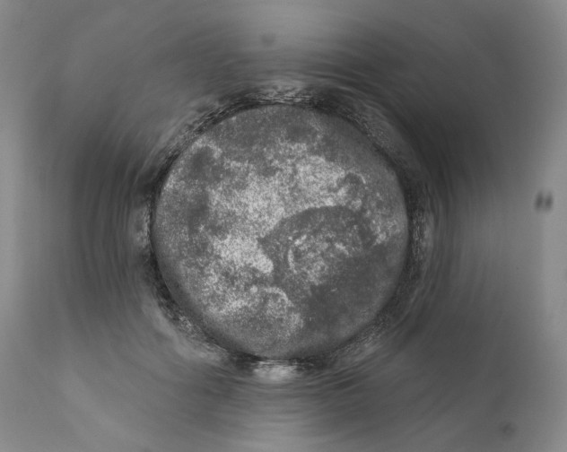 X0000110880602200907161503