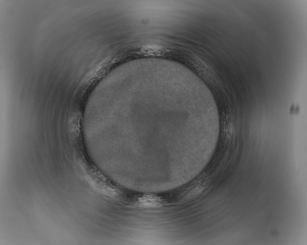 X0000110880603200907161503