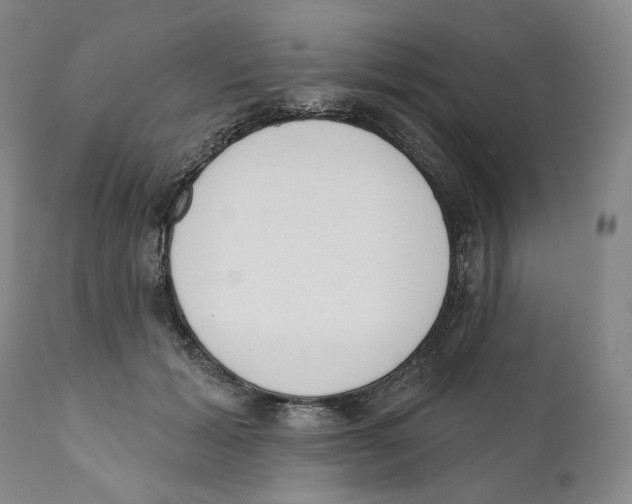 X0000110880605200907161503