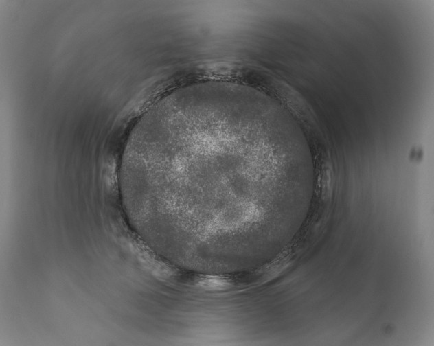 X0000110880610200907161503